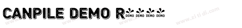 Canpile Demo R字体转换